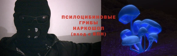 Альфа ПВП Алзамай