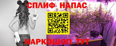 jwh Камышлов
