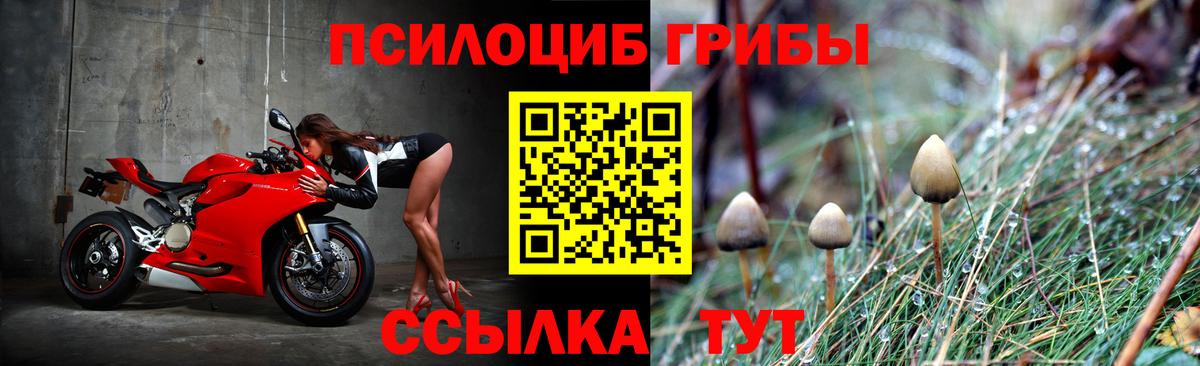 Галлюциногенные грибы ЛСД Вологда
